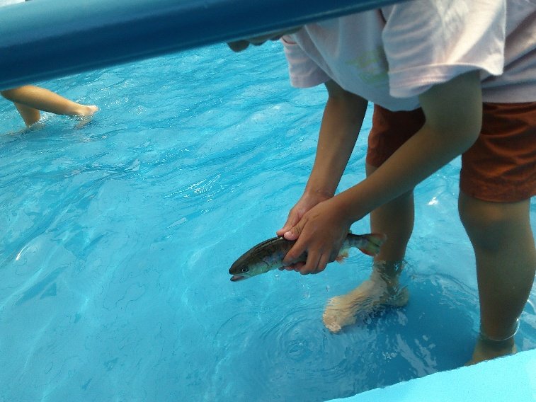 楽しかったよ！！夏休み（７月）
